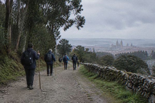 Pilgrim for a Day Sightseeing Tour