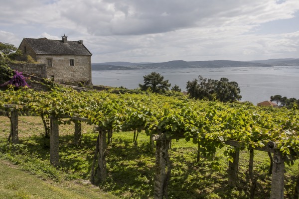 Boat Trip, Winery, Full Day, Santiago de Compostela