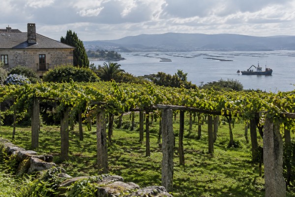 Winery, Optional Mussel Boat, Santiago de Compostela