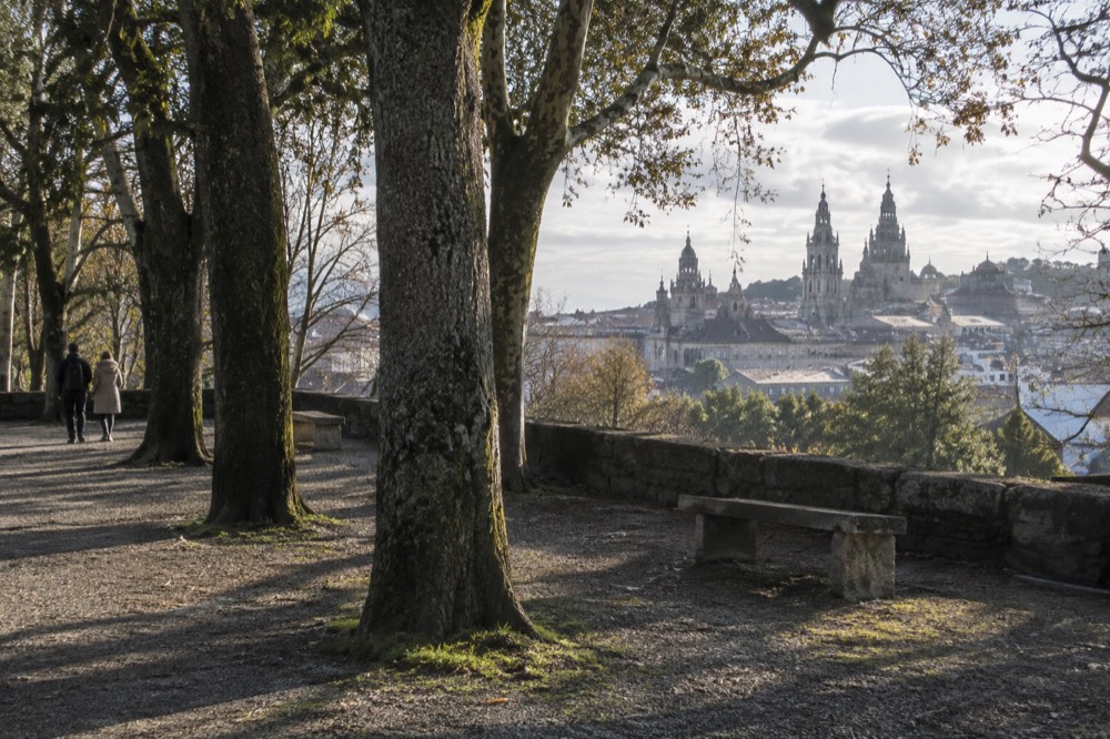 Shaded oak grove in the Carballeira de Santa Susana with dappled light on grass and stone