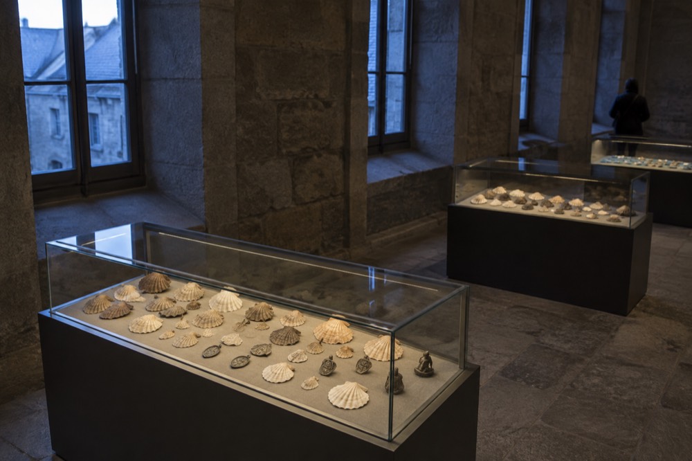 Display of scallop shells and pilgrim badges arranged in a museum case