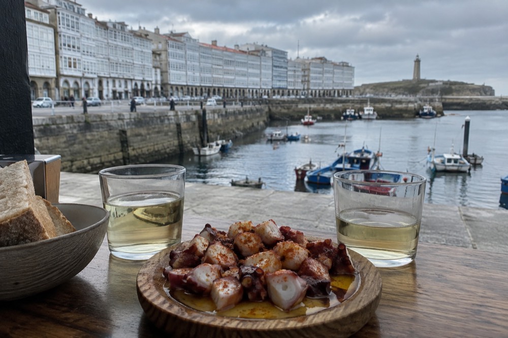 Plate of boiled octopus with olive oil and paprika beside small glasses of white wine on a wooden bar top