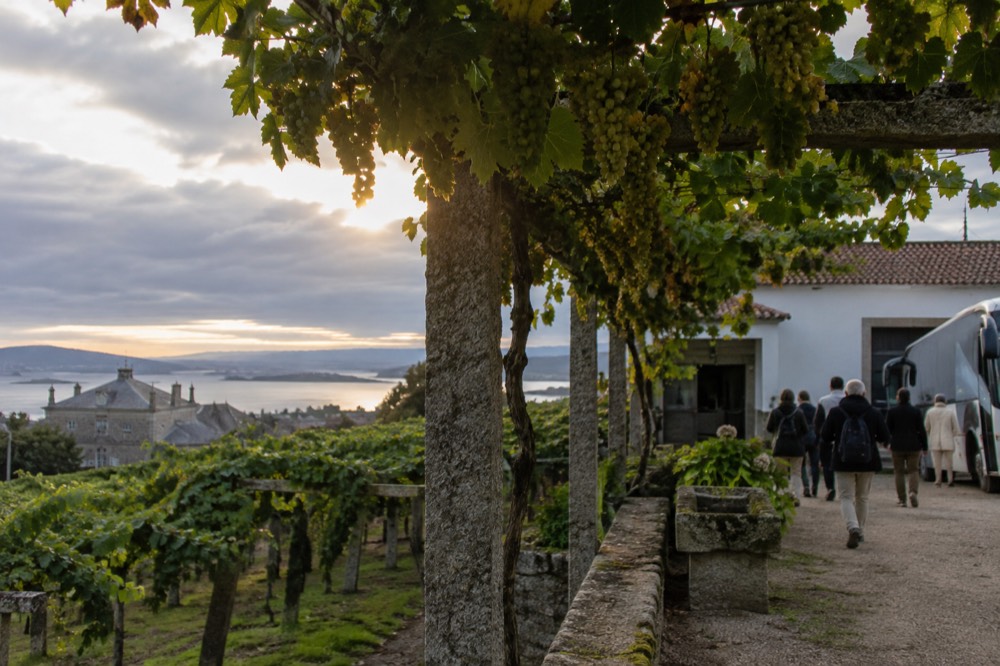 Travelers walking from a small coach toward a white-walled winery building in a Galician vineyard.